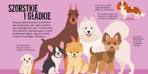 PSY_pop up 10 rozkladowka 1